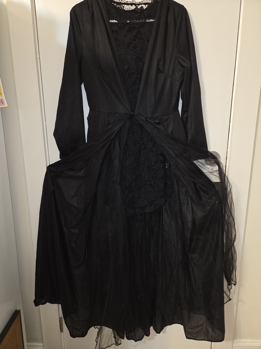 Black Lace & Sheer Long Sleeve Women's Dress